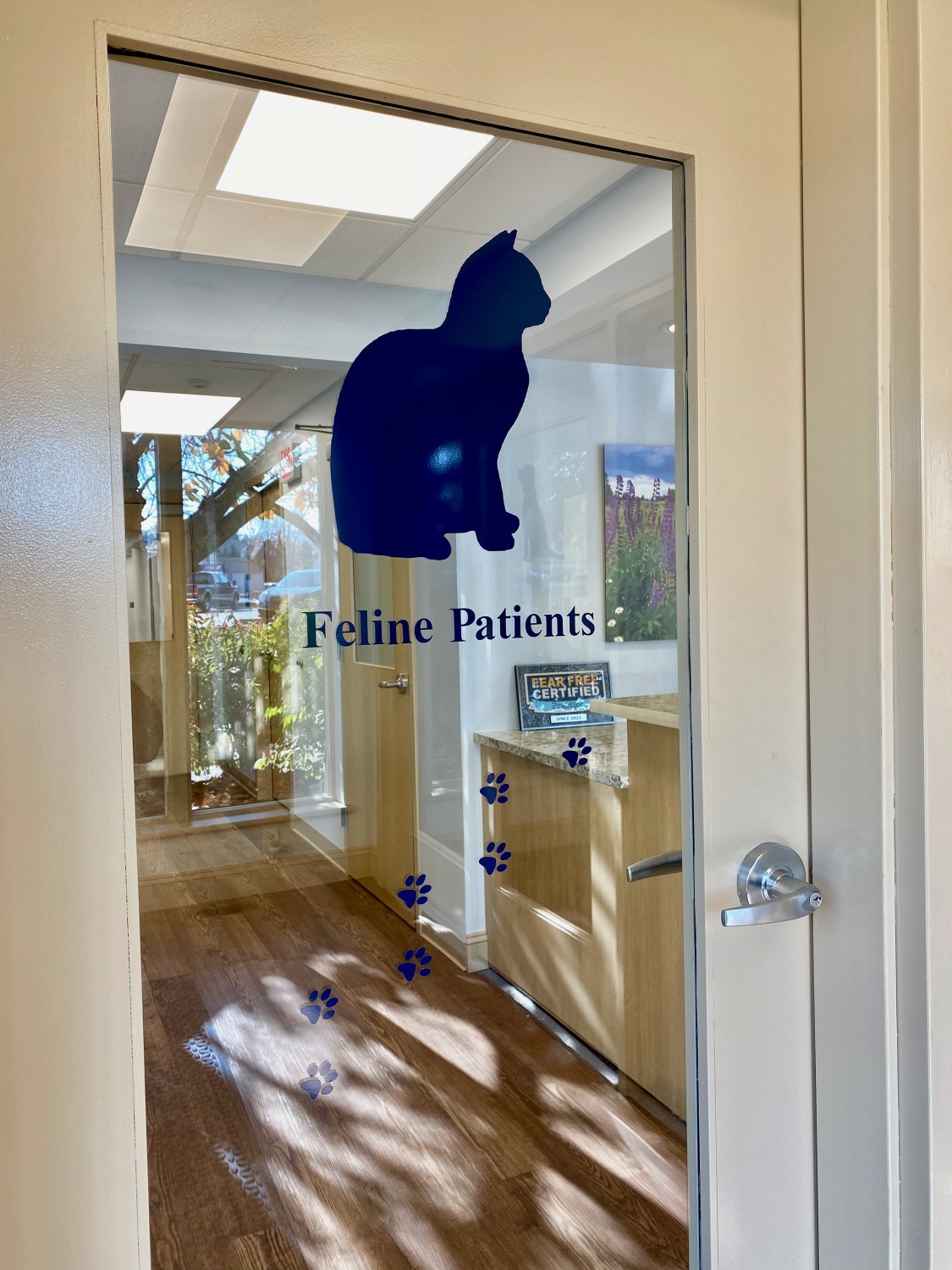 Feline Patient Entrance