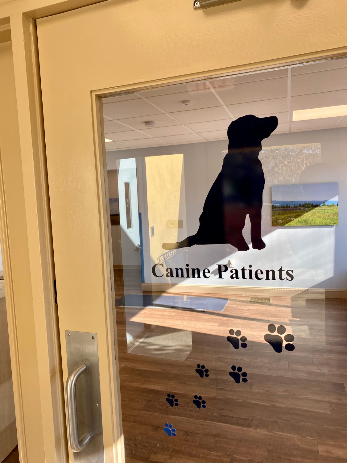 Canine Patient Entrance