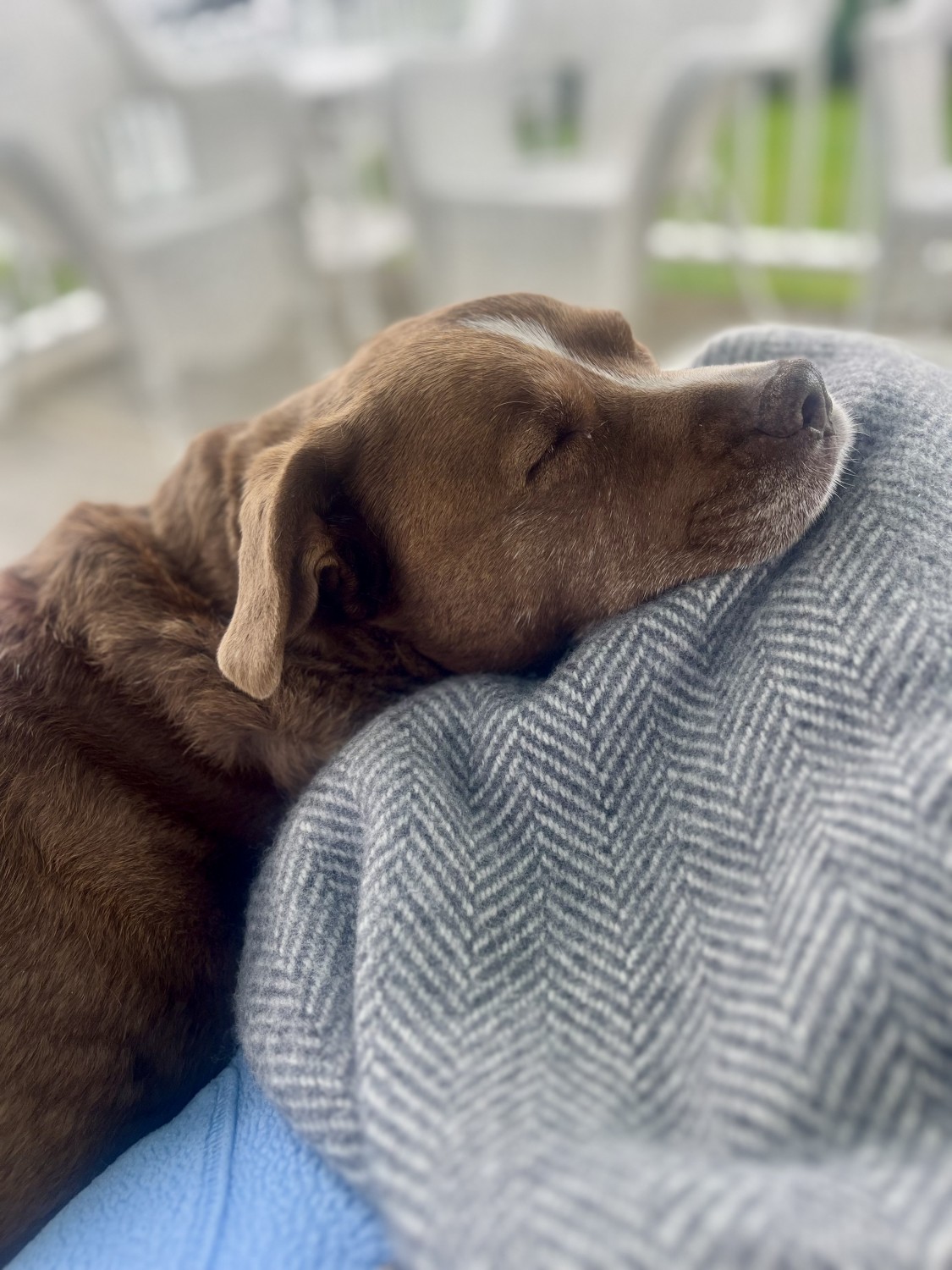 Penny