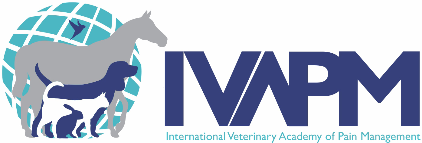 IVAPM Logo