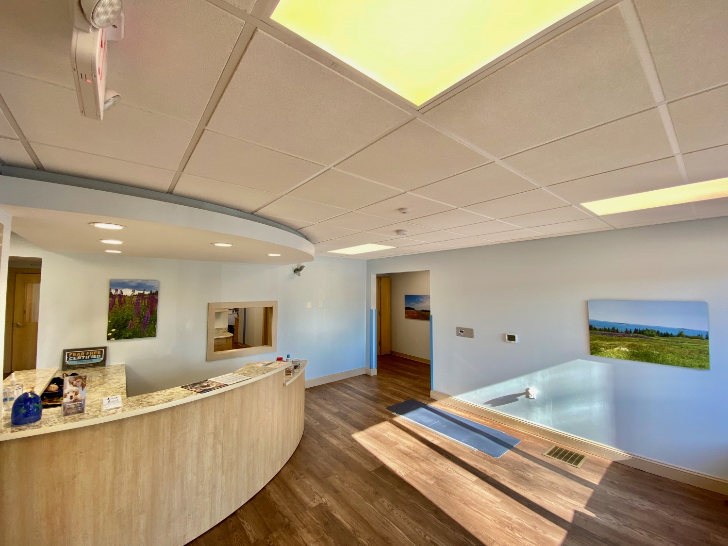 Reception Area (and yes, that is a SCALE, flush with the floor under the yoga mat)